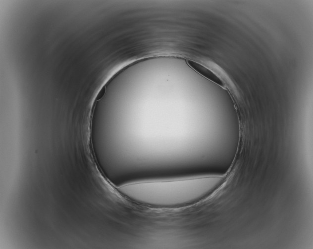 X0000088361244200705220726