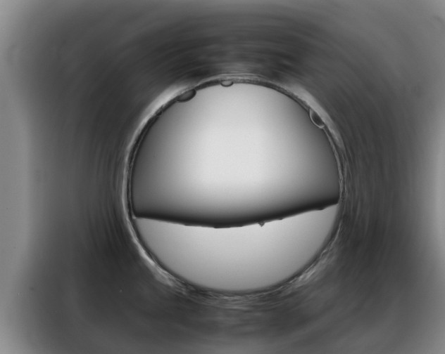 X0000088361245200705220726