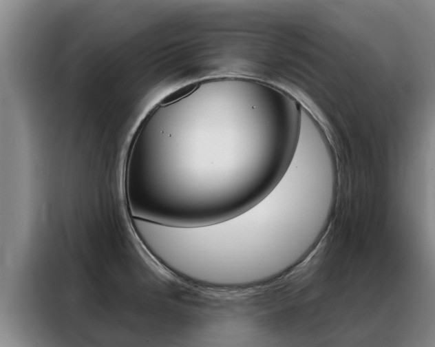 X0000088361246200705220726