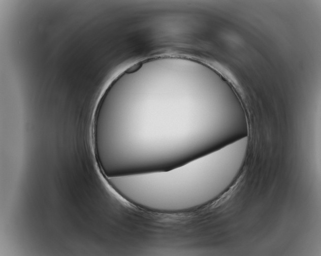 X0000088361247200705220726