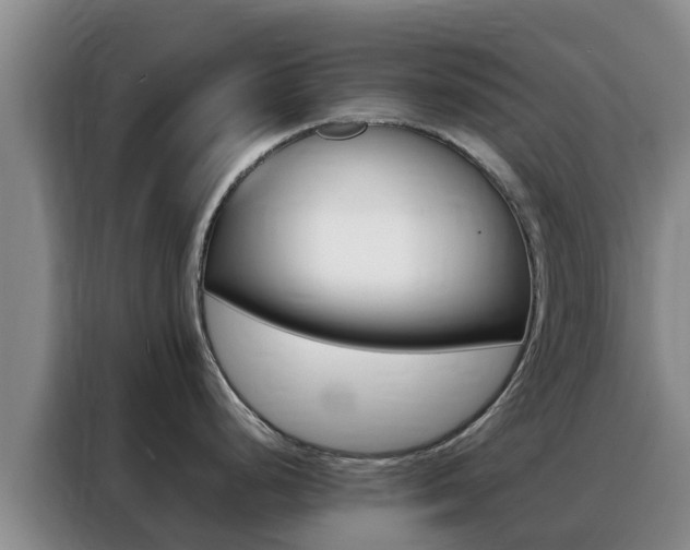 X0000088361248200705220726