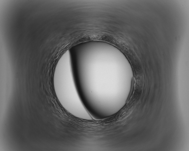 X0000088361249200705220726
