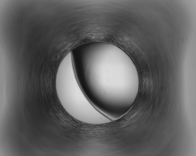 X0000088361250200705220726