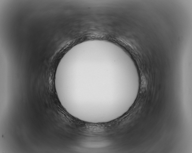 X0000088361254200705220726