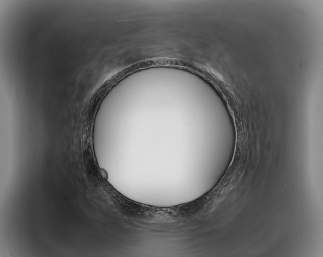 X0000088361255200705220726