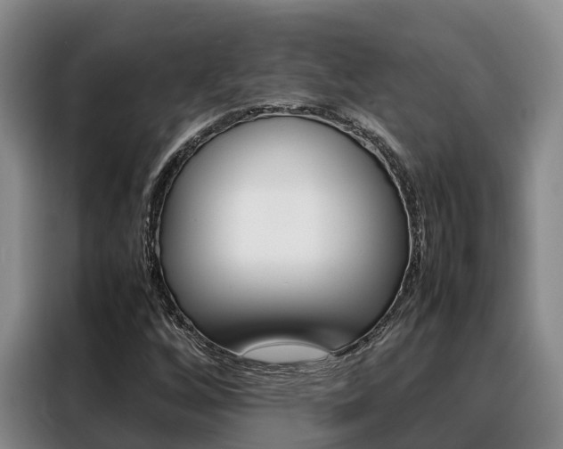 X0000088361256200705220726