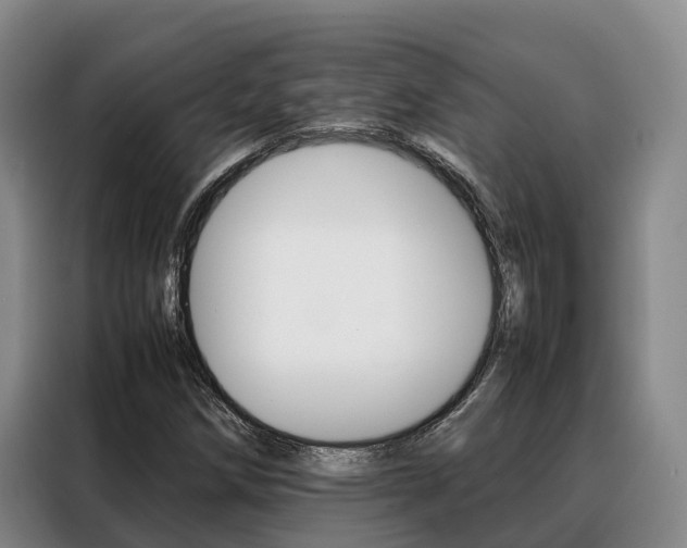 X0000088361258200705220726