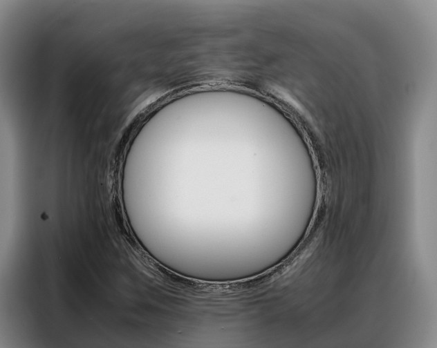 X0000088361259200705220726
