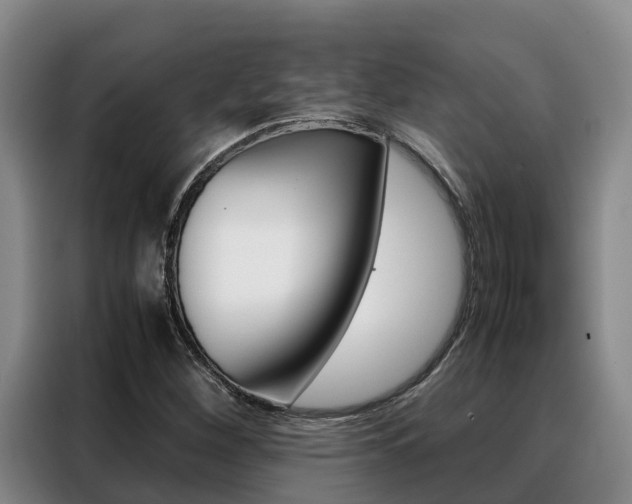X0000088361260200705220726