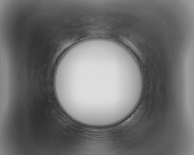 X0000088361261200705220726