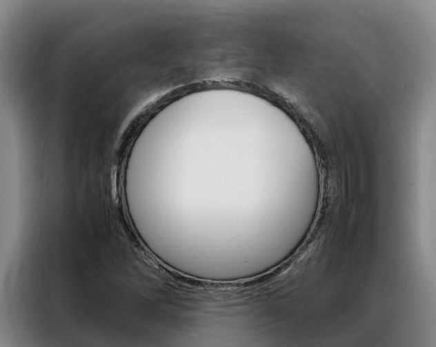 X0000088361262200705220726