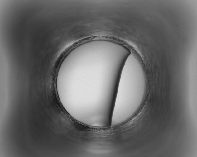 X0000088361263200705220726