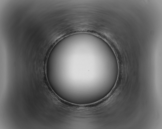 X0000088361265200705220726