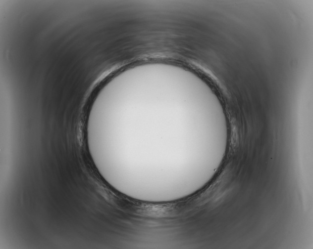 X0000088361266200705220726