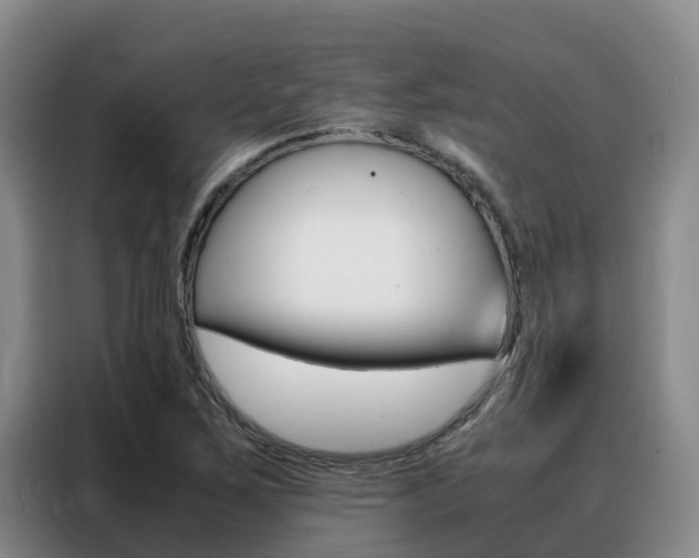 X0000088361267200705220726