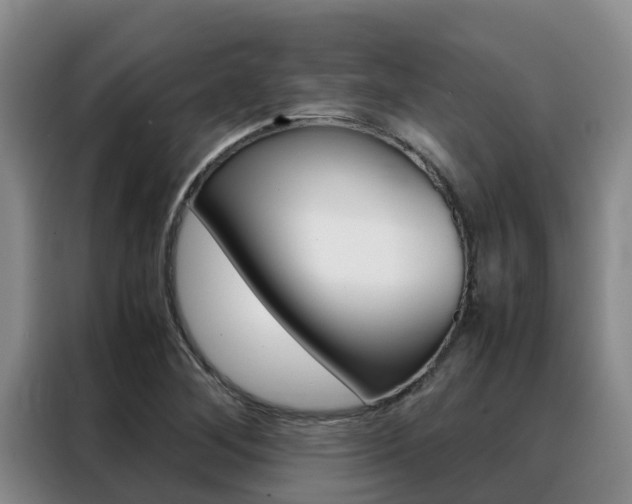 X0000088361268200705220726