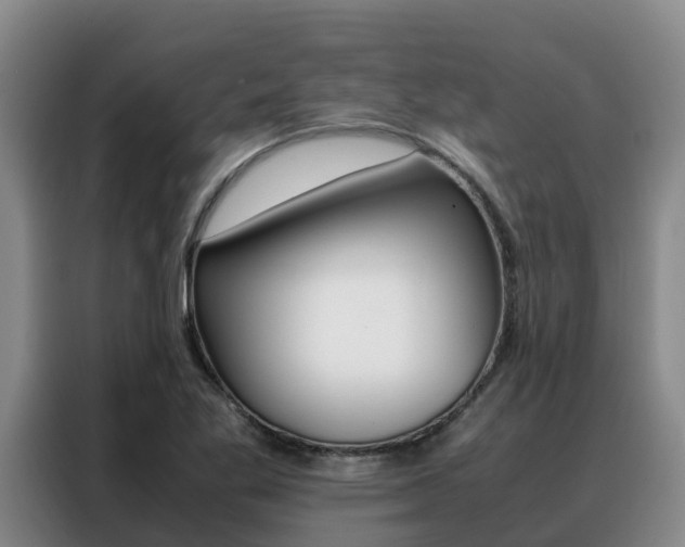 X0000088361269200705220726
