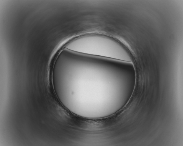X0000088361270200705220726