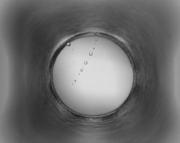 X0000088361271200705220726