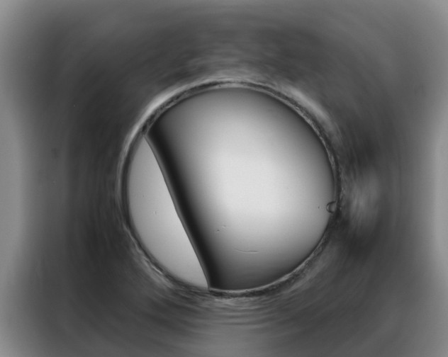 X0000088361272200705220726