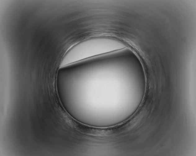 X0000088361273200705220725