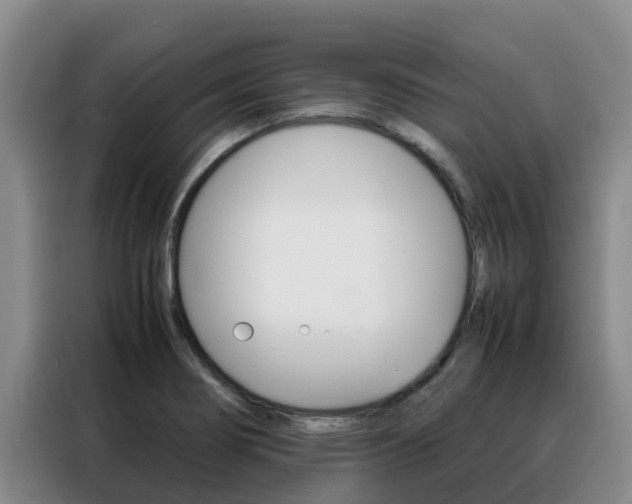 X0000088361274200705220725
