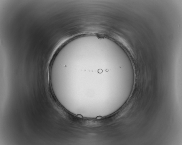 X0000088361275200705220725