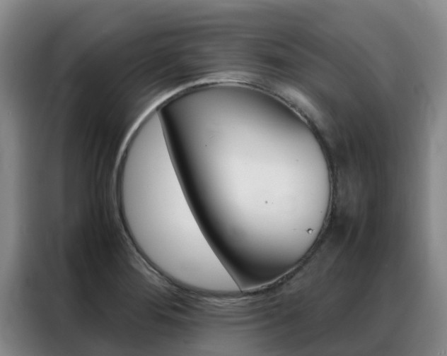 X0000088361276200705220725