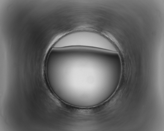 X0000088361277200705220725