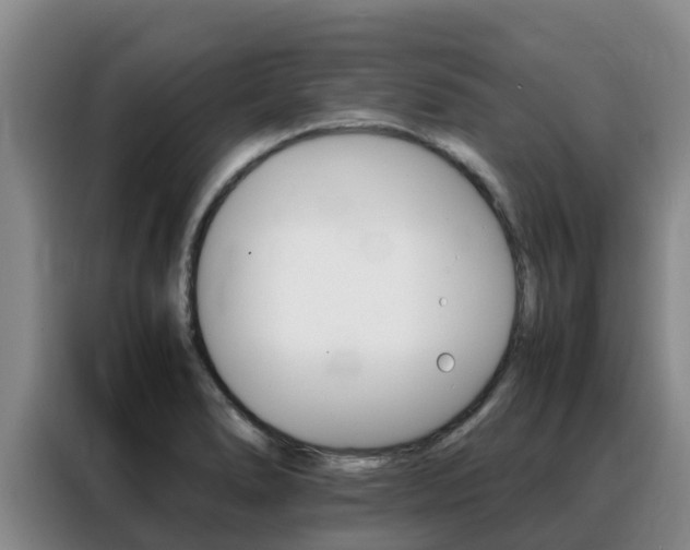 X0000088361278200705220725