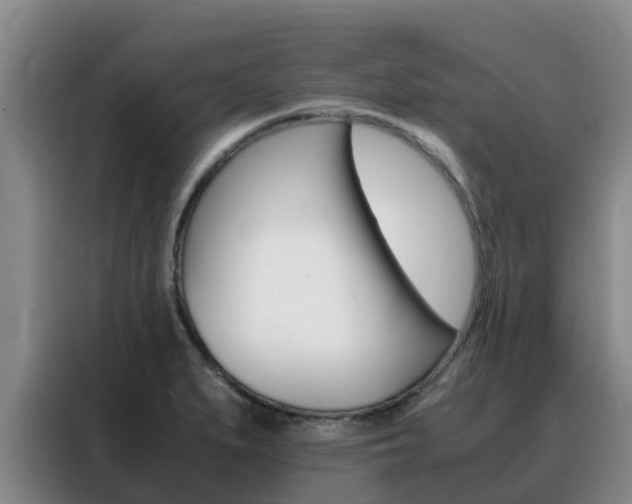 X0000088361279200705220725