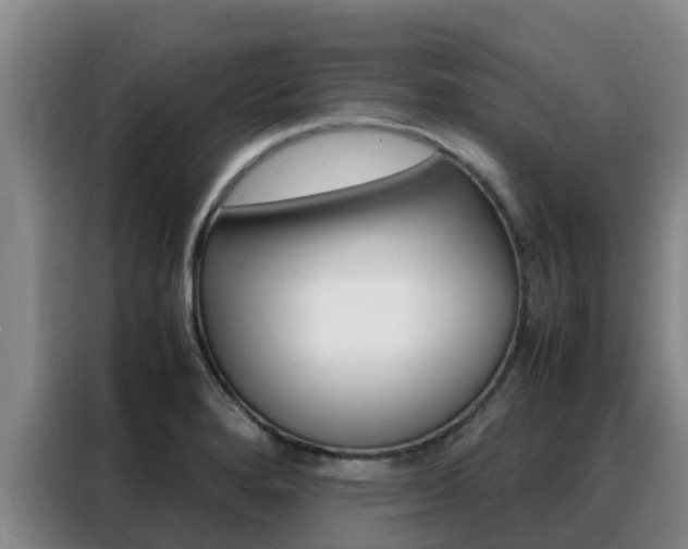 X0000088361280200705220725