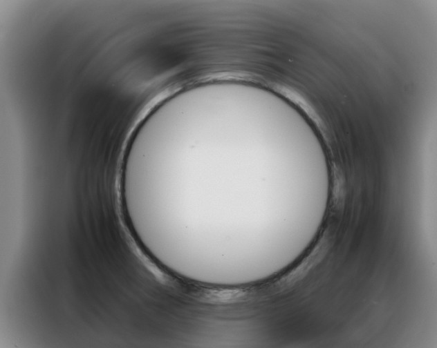 X0000088361282200705220725
