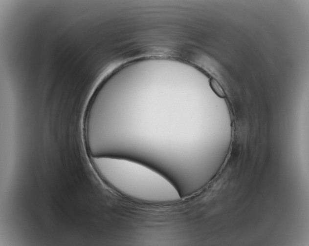 X0000088361283200705220725