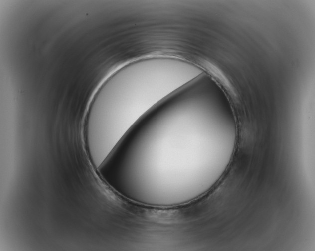 X0000088361284200705220725