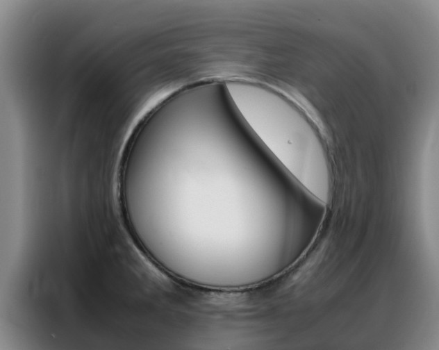 X0000088361285200705220725
