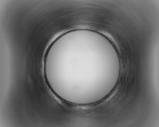 X0000088361286200705220725