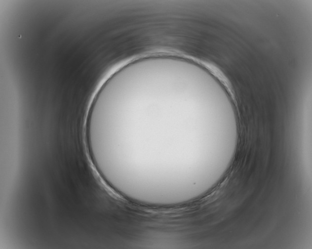 X0000088361287200705220725