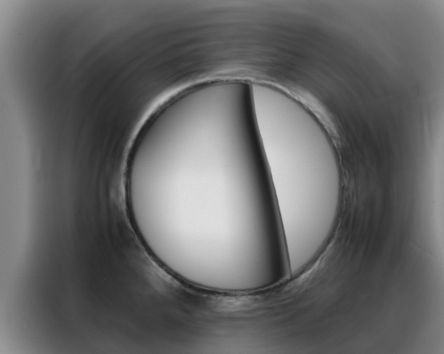 X0000088361288200705220725