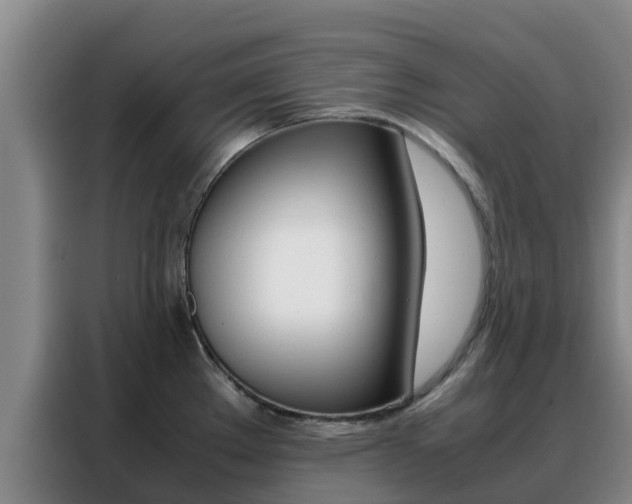 X0000088361289200705220725