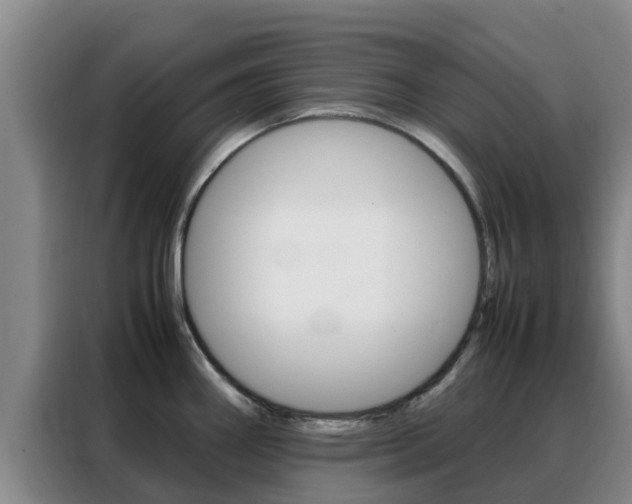 X0000088361290200705220725