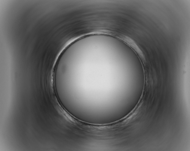 X0000088361292200705220725