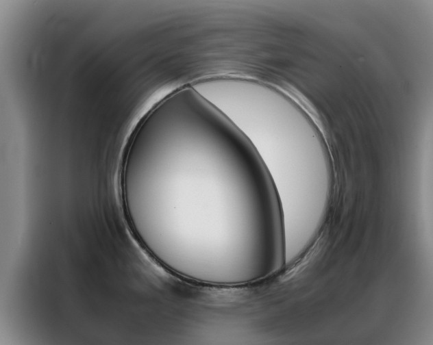 X0000088361293200705220725