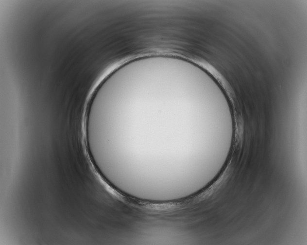 X0000088361294200705220725