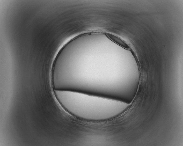 X0000088361295200705220725