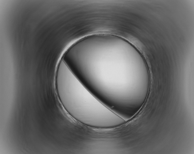 X0000088361296200705220725