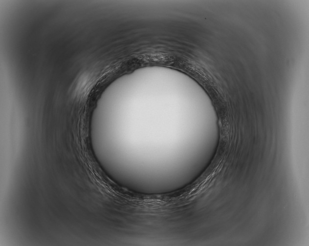 X0000088361297200705220725