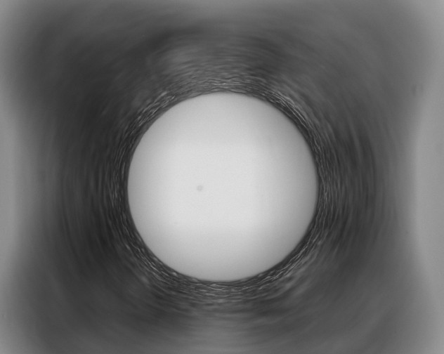 X0000088361298200705220725