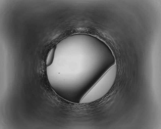X0000088361301200705220725