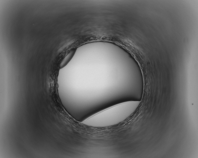 X0000088361302200705220725